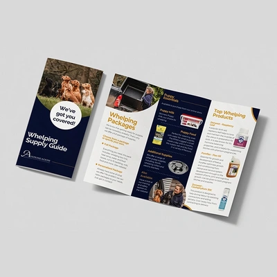  40582 - Foldedleaflets - 700px